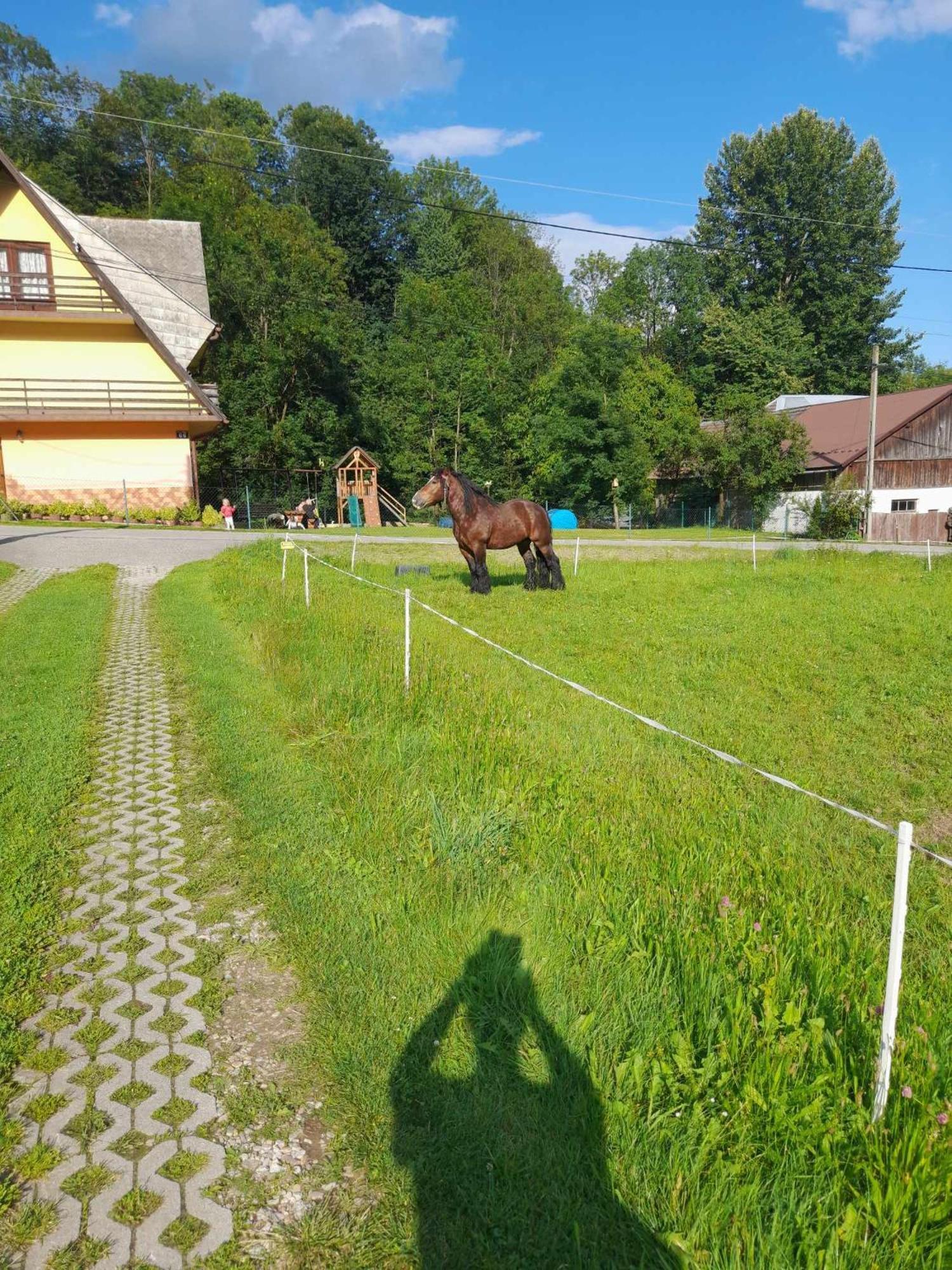 Zakatek Pienin Apartment Grywald Exterior photo